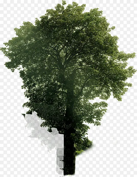 �����ֻ�ɽҰ����-������