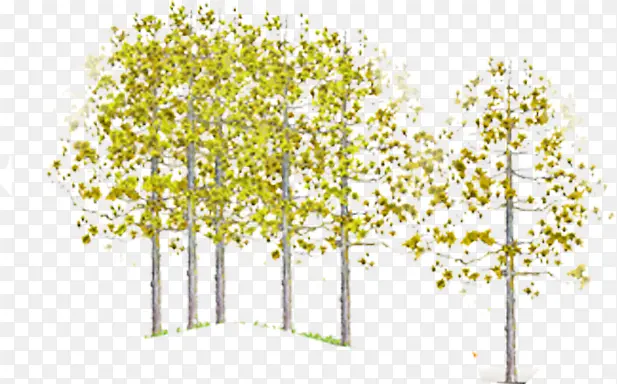 �ֻ������ɫ����-������