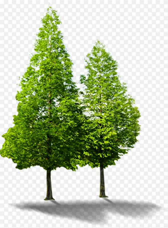 ����԰�ִ�������-������