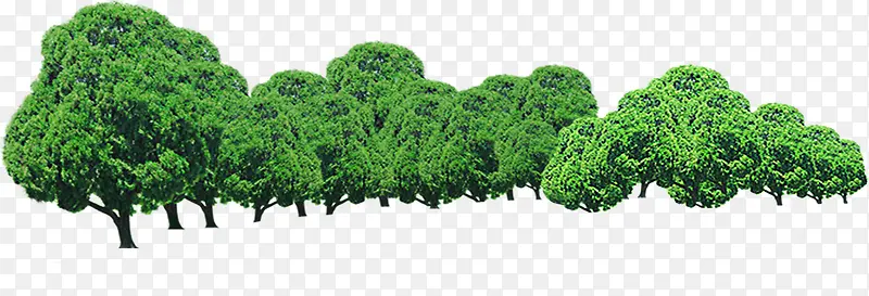 ������ɫ��������-������