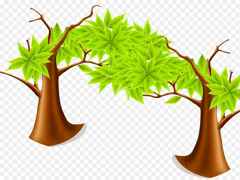 ��ͨ��ľ-������