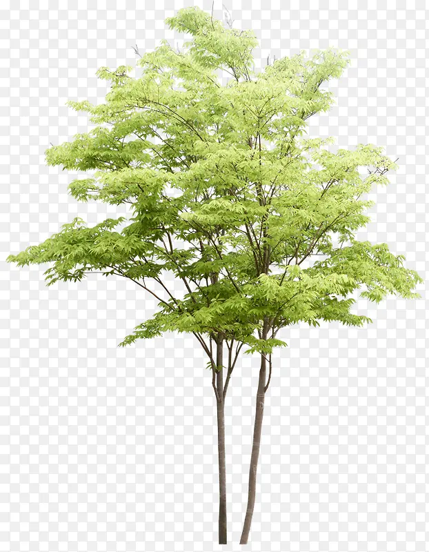 ����԰�־��۴���-������