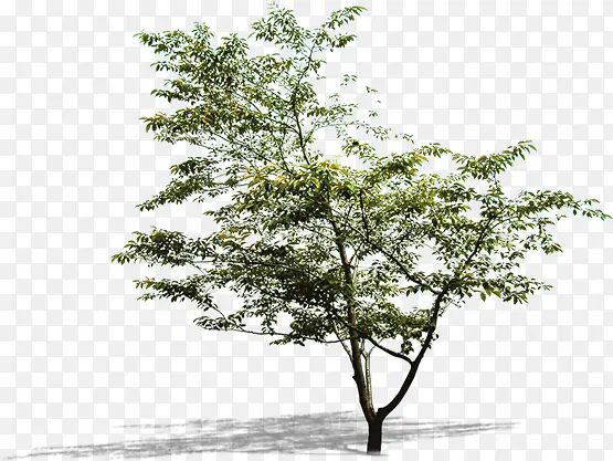 �̻����۲��ִ���-������