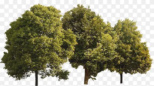 С�����־��۴���-������