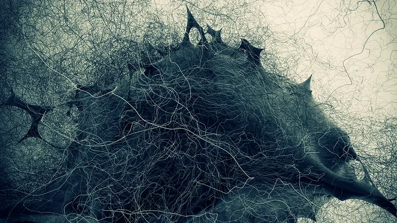 ���ɴ���ֲ����֦-������