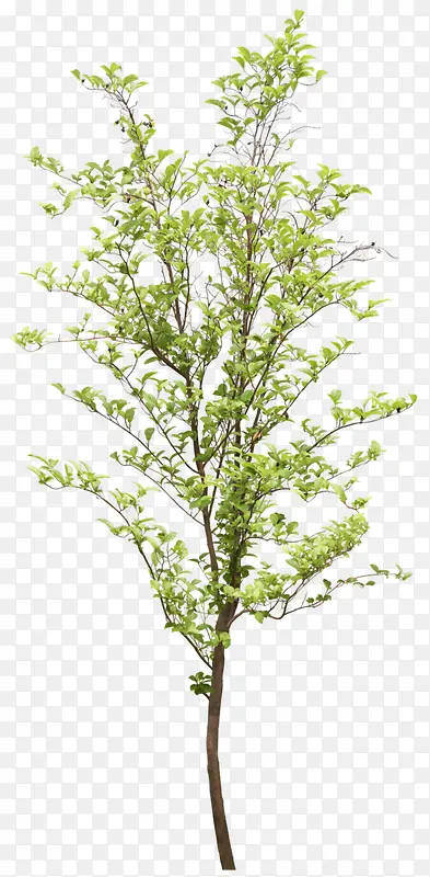 ������Ӱ�ϳ���ɫ�Ĵ���-������