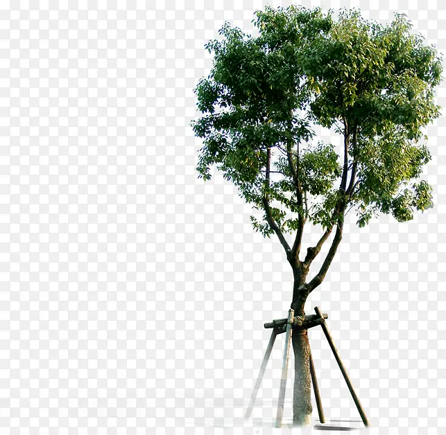 �̻�������������-������