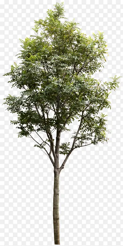 ��Ӱ��ɫ�Ĵ���Ч��-������