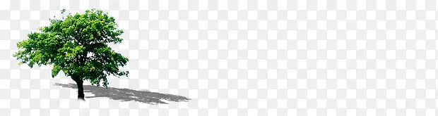 �����̻���������-������