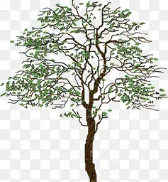 �ֻ洴���������-������