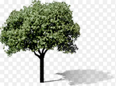 ��ľ԰�־��۴���-������