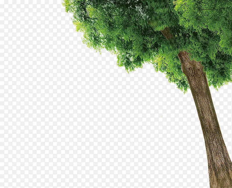 ����-������