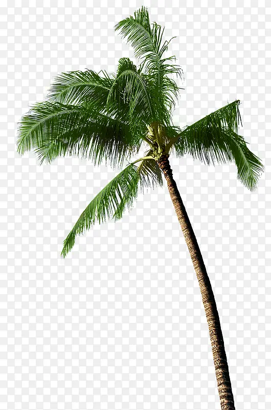 Ҭ��-������