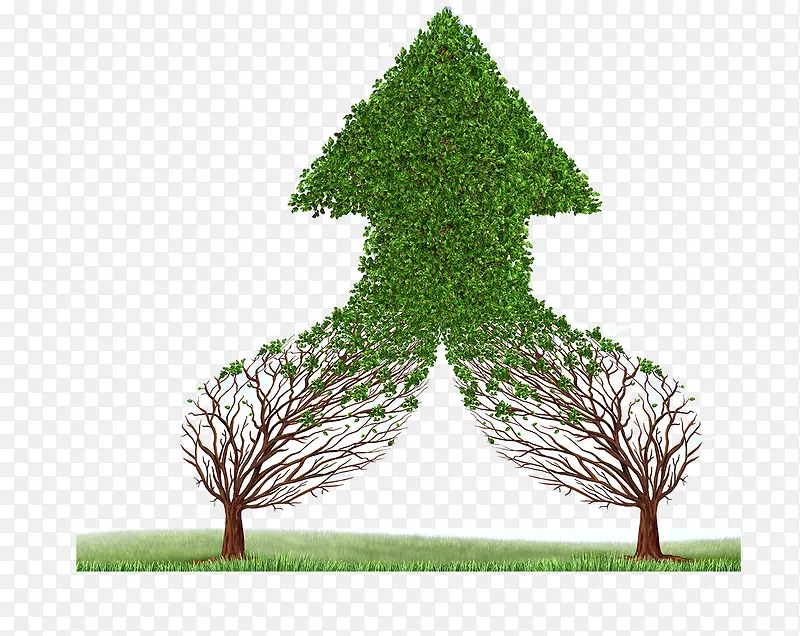 �������-������