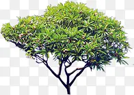 ���۶���ֲ�����-������