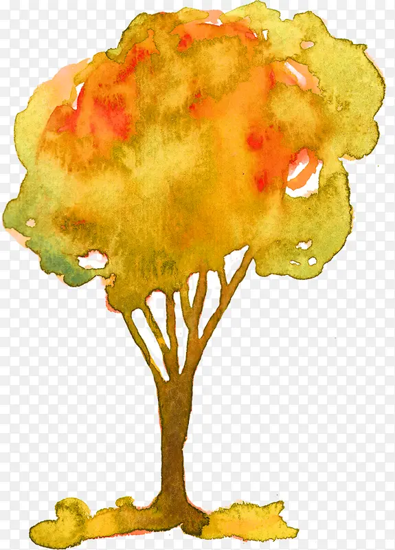 ��ɫ���µ��Ŵ���-������