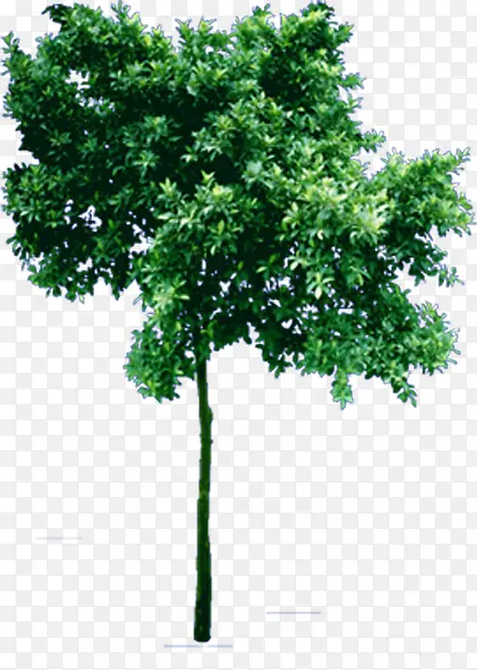 ��ɫ���崴����ɫ����-������