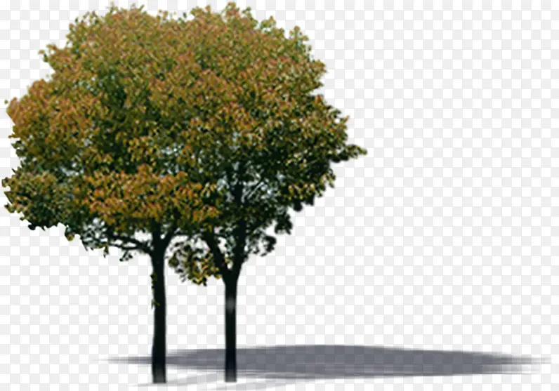 ���崴����Ӱ��ɫ������Ⱦ-������