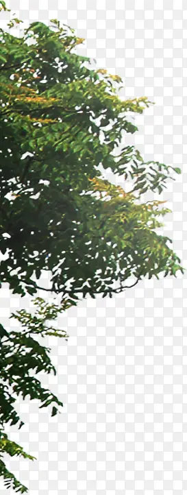 ��ȾЧ����Ӱ�ϳɴ���-������