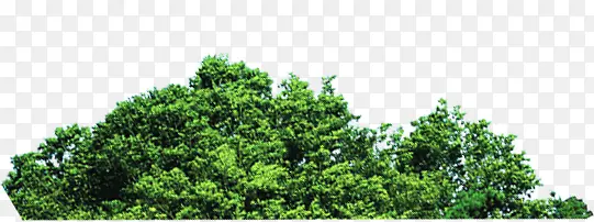 ��ɫ���ջ������-������