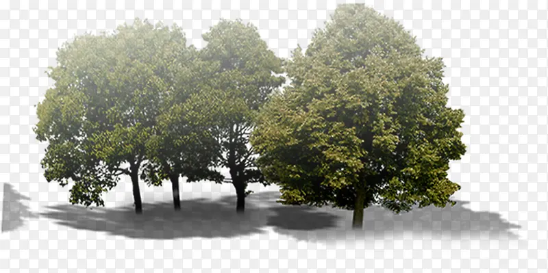 ���廧����Ӱ����-������