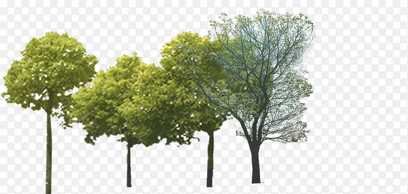 ������Ӱ��ɫ����-������