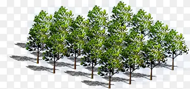 ��ɫ������������Ӱ-������