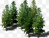 ������Ӱ������ɫ�Ĵ���-������