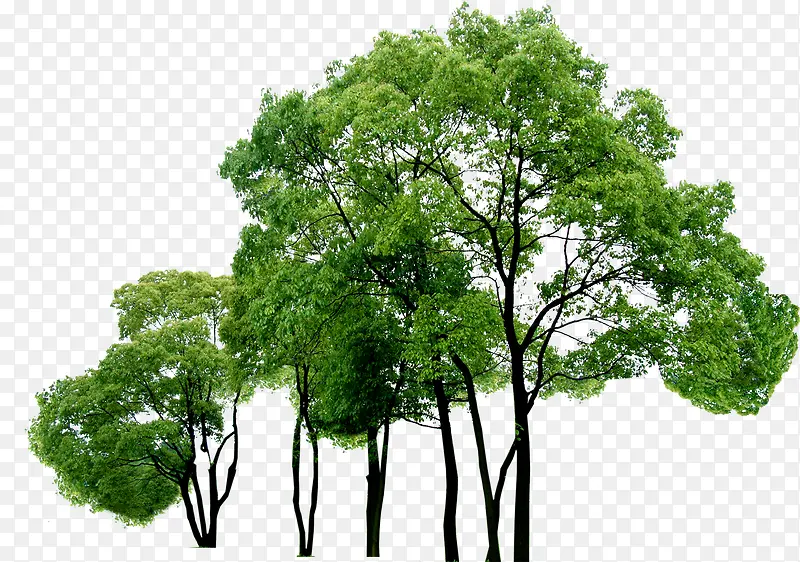 ���崴����Ӱ����-������