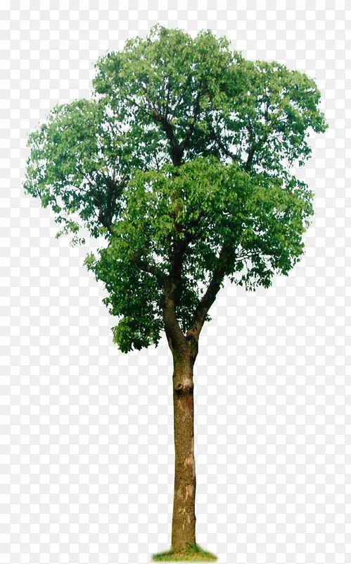 ���崴����ɫ����-������