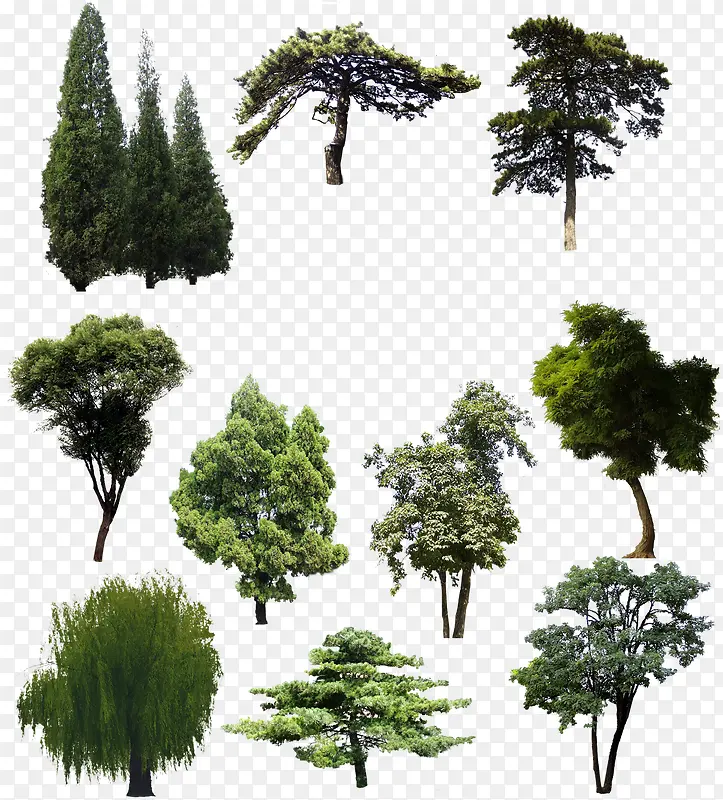 ���崴������ϳ�Ч����Ӱ-������