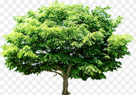 ������Ӱ�����ϳ�Ч��-������