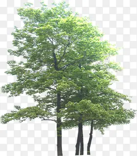 ������Ӱ��ɫ�Ĵ���-������