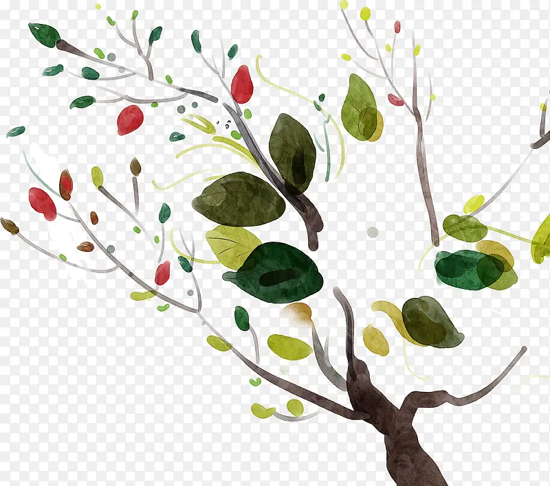 �ֻ�Ư����Ҷ����-������