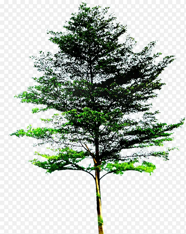 ���崴����Ӱ��ɫ����-������