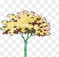 ��ɫ����ֲ�����-������