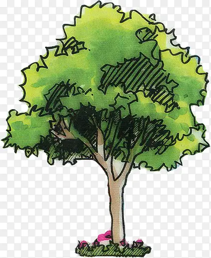 ����Ч����������-������