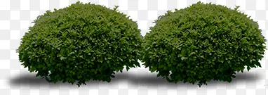 Բ��԰�ִ������-������