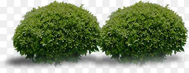 Բ�α��²ü�����-������