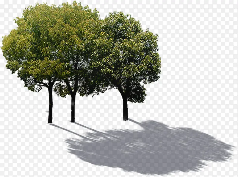 ������Ӱ��ɫ�Ĵ���-������