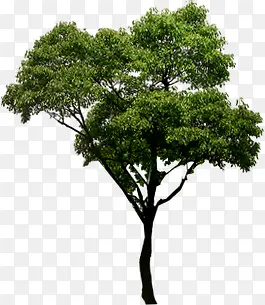 ���崴������ϳ�-������