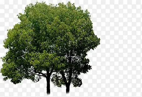 ������Ӱ�����ϳ�-������