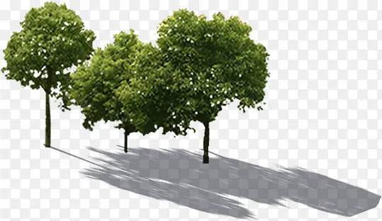 ����ϳ�Ч������-������