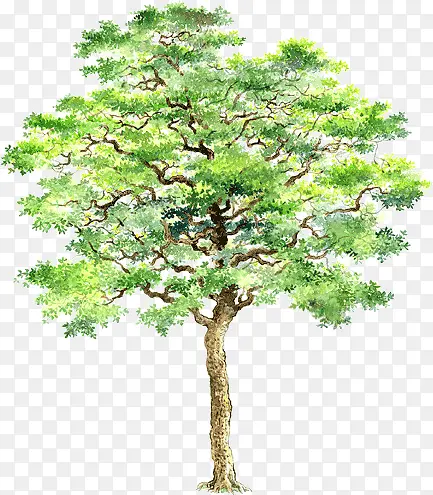 �ֻ������ļ�����-������