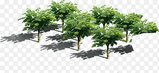 ��԰������������-������