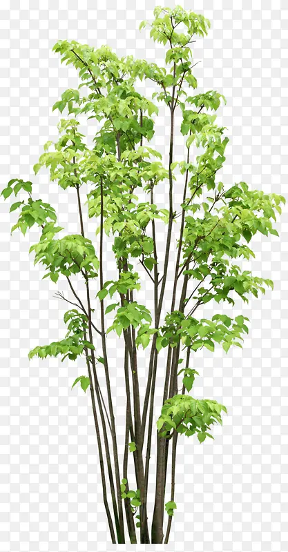 ����-������