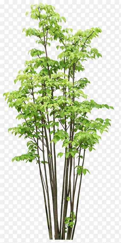 ����-������