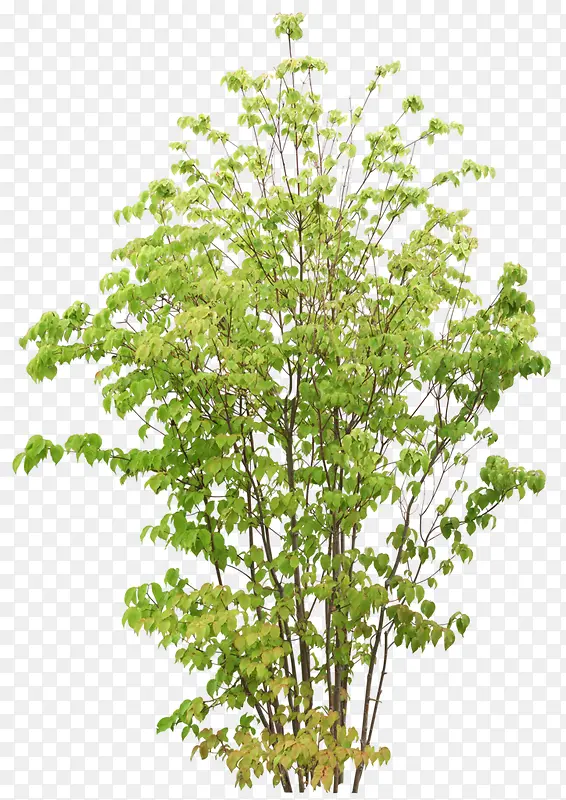 ����-������