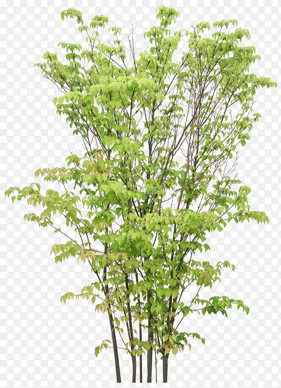 ����-������