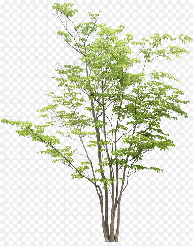 ����-������